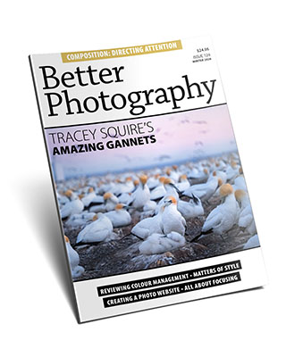 BPCover124